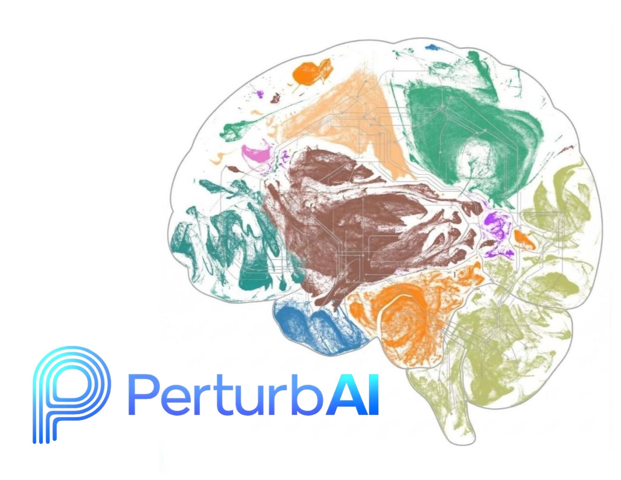 PerturbAI Unveils World’s Largest In Vivo CRISPR Atlas